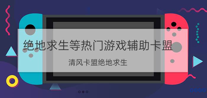 绝地求生等热门游戏辅助卡盟（清风卡盟绝地求生\"）